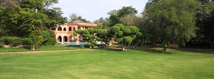 2493/The Banyan Farm - New Delhi 12.jpg